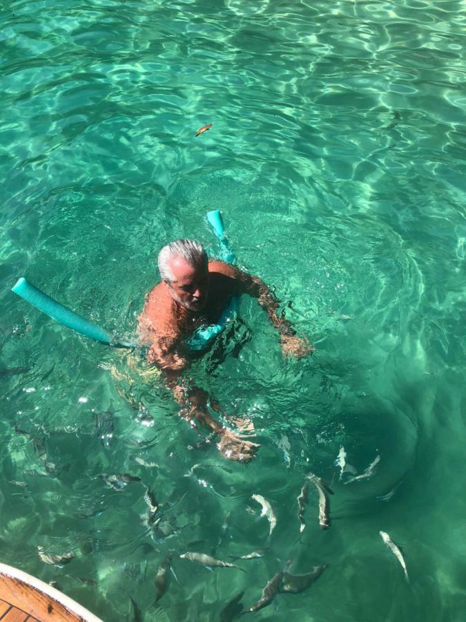 Flat Eco Flora Lejlighed Angra dos Reis Eksteriør billede